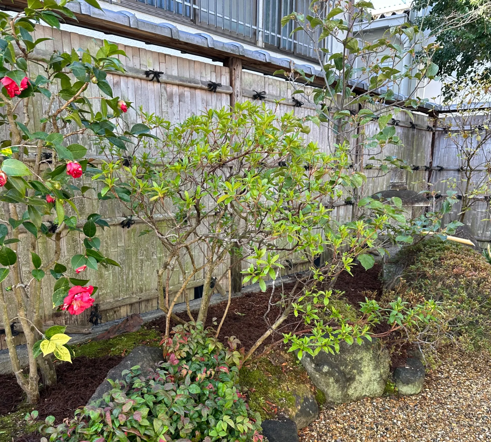 奈良県河合町・植栽・寒肥【東大阪・奈良市に植栽・寒肥に対応した庭色】